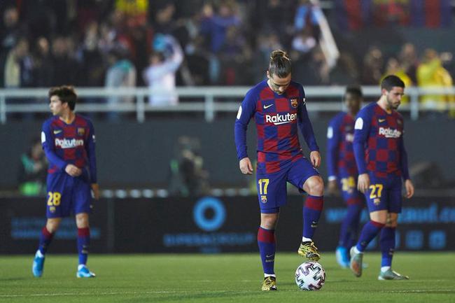 1吨-10吨茶籽油生产线