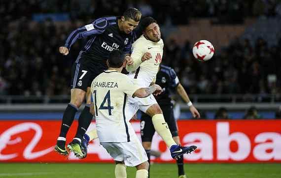 YZY202型螺旋榨油机