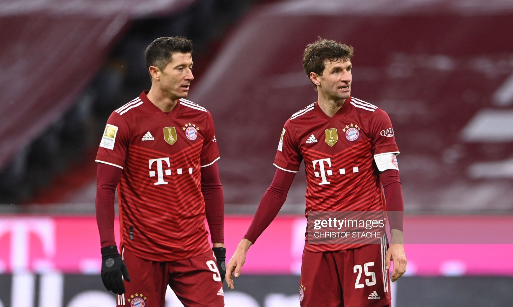 1吨-10吨茶籽油生产线